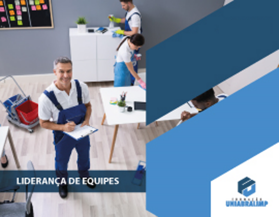 Liderança de Equipes - ONLINE