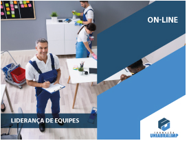 Liderança de Equipes - ONLINE