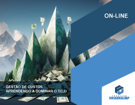 Gestão de custos: aprendendo a dominar o T.C.O. - ONLINE
